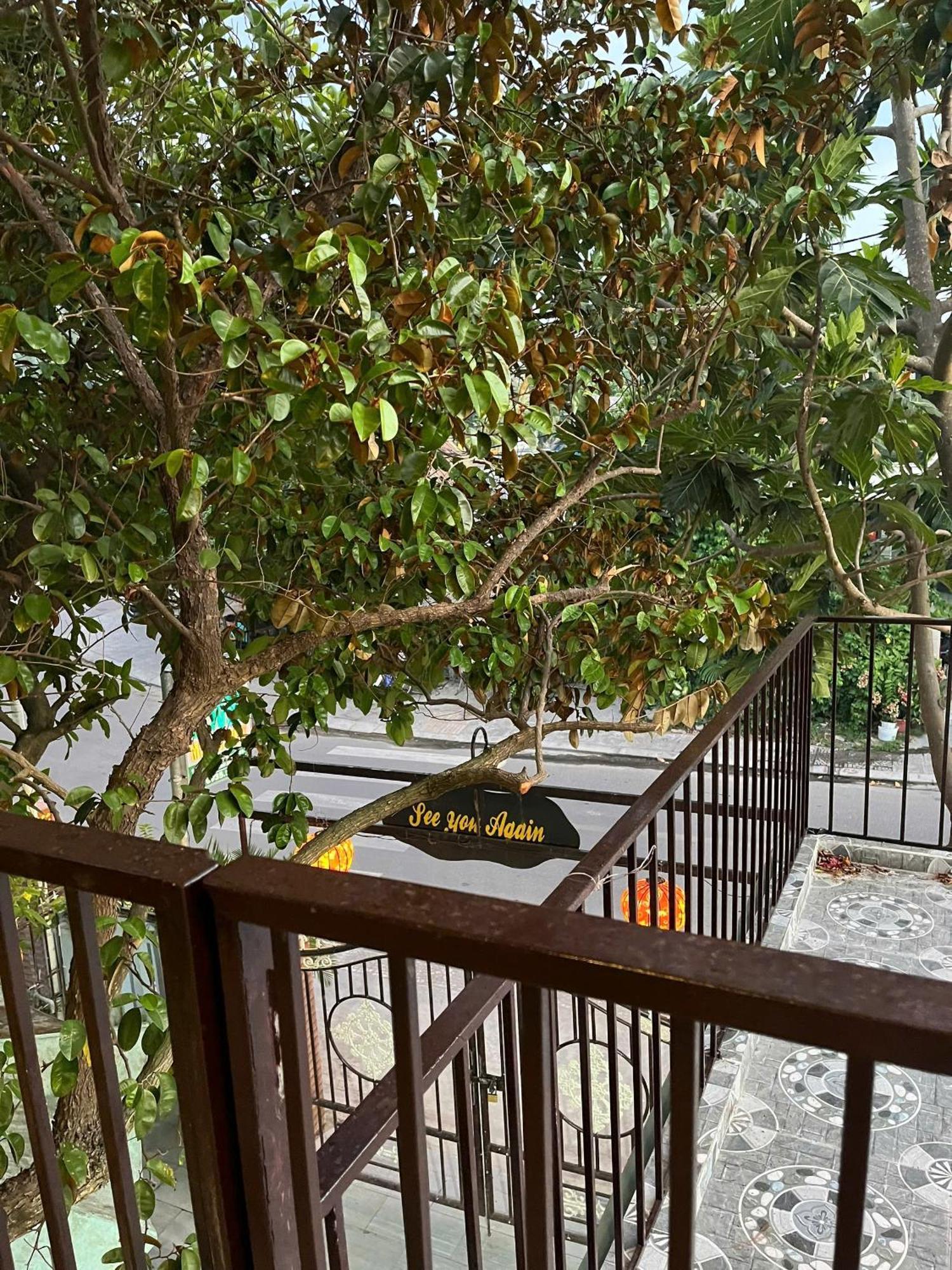 Milk Fruit Homestay - An Bang Beach Хой Ан Екстериор снимка